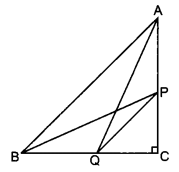 CBSE Previous Year Question Papers Class 10 Maths 2019 Delhi Set I Q19.1