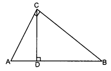 CBSE Previous Year Question Papers Class 10 Maths 2019 Delhi Set I Q19