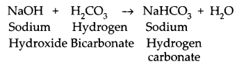 CBSE Previous Year Question Papers Class 10 Science 2019 Delhi Set II Q6