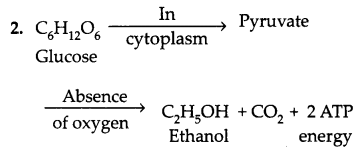 CBSE Previous Year Question Papers Class 10 Science 2019 Delhi Set I Q4.1