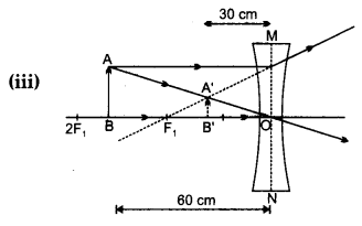 CBSE Previous Year Question Papers Class 10 Science 2019 Delhi Set I Q19.1
