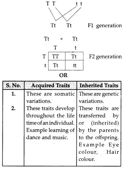 CBSE Previous Year Question Papers Class 10 Science 2019 Delhi Set I Q12