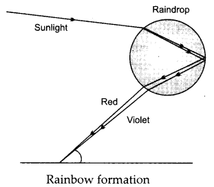 CBSE Previous Year Question Papers Class 10 Science 2019 Delhi Set I Q13