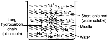 ncert-solutions-for-class-10-science-chapter-4-carbon-and-its-compounds-15