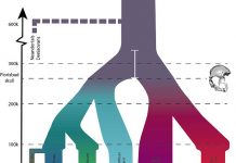 Early Humans Emerged 170000 Years Than Previously Thought Early Humans Emerged 170000 Years Than Previously Thought