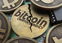 Bitcoin Is Leaving Other Bitcoins in The Dust After Another Split Bitcoin Is Leaving Other Bitcoins in The Dust After Another Split