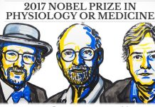 Noble Medicine Prize awarded to 3 Scientists for the Discovery of the Mechanism of body clocks regulation The American scientists Jeffrey C Hall, Michael Rosbash and Michael W Young, who have won this year’s prize. Illustration NobelPrize.org