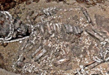 To Avoid Inbreeding Pre-Historic Humans Formed Intricate Social Network 34000 Years Ago To Avoid Inbreeding Pre-Historic Humans Formed Intricate Social Network 34000 Years Ago