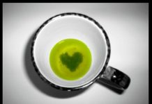 Green Tea can also Prevent Human Body from Heart Attacks Green Tea can also Prevent Human Body from Heart Attacks