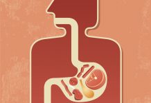 On Diet And No Progress? Gut Bacteria has to be partly Blamed Researchers say