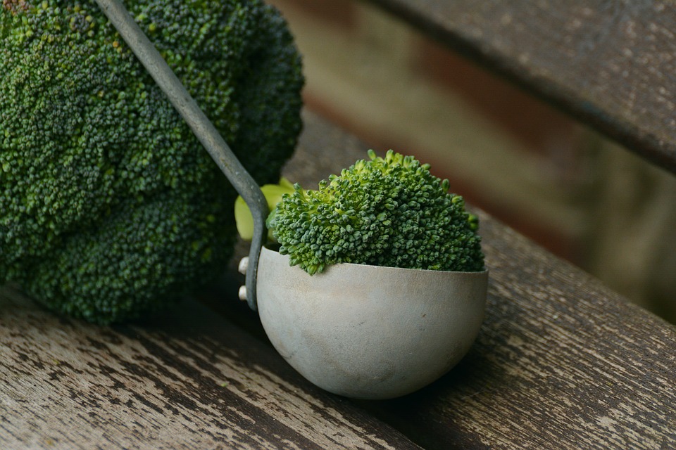 Health Benefits of Dark Leafy Green Nutrient Powerhouses
