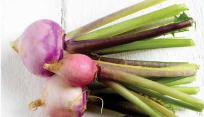 Nutrition from Turnip