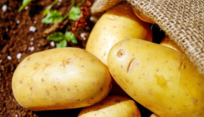 What are the benefits of potato