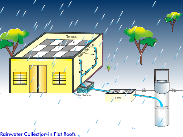 Rain Water Collection in Flat Roofs