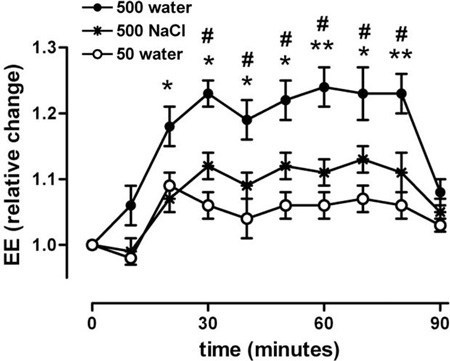 water-boosts-metabolism