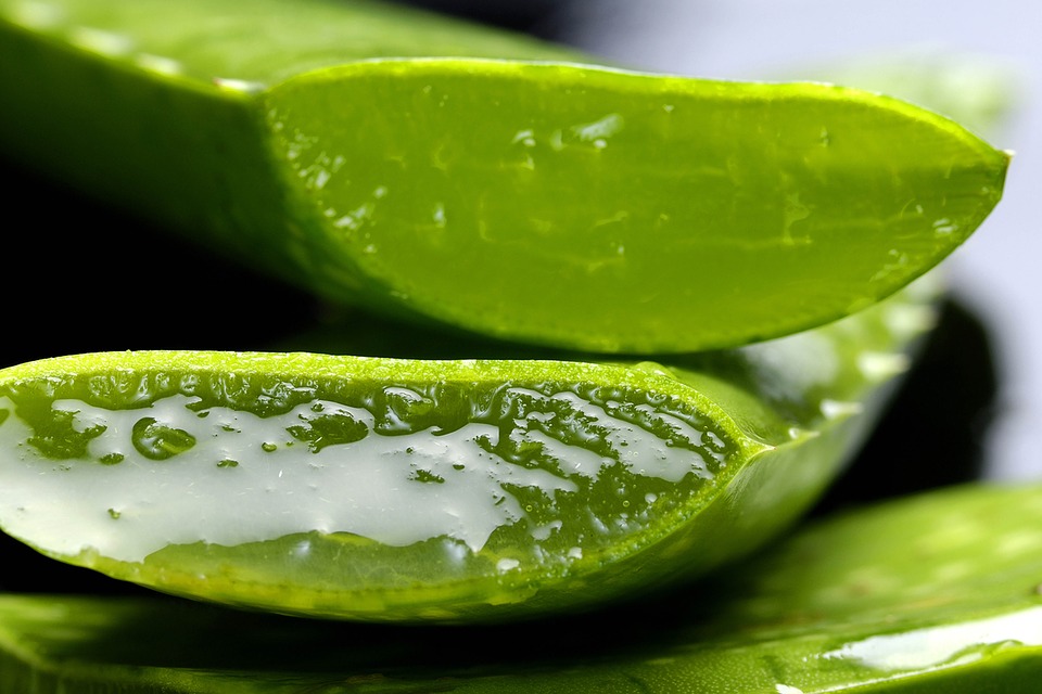 Aloe Vera For Skin And Hair How To Use It For Skin And Hair Woes