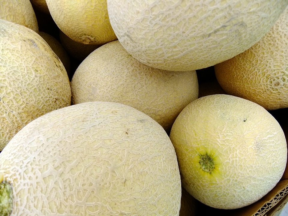 Time To Gorge On Honeydew Melons