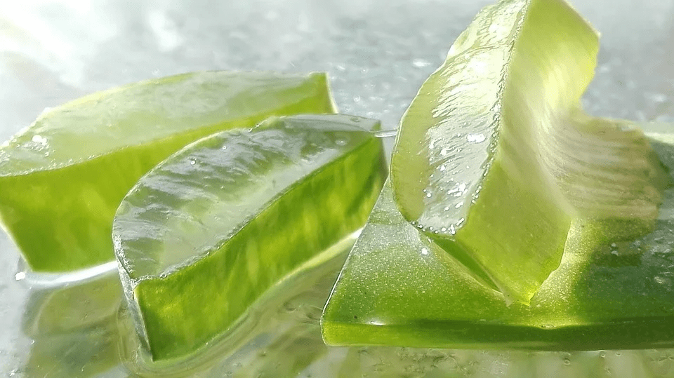Amazing Benefits of Aloe Vera for Skin
