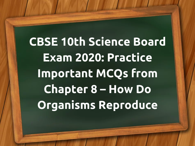 MCQ Questions for Class 10 Science How Do Organisms Reproduce with Answers