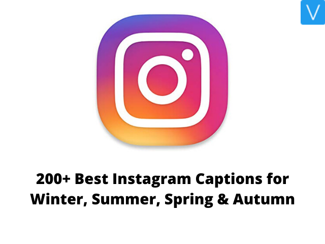 Best Instagram Captions for Winter, Summer, Spring & Autumn