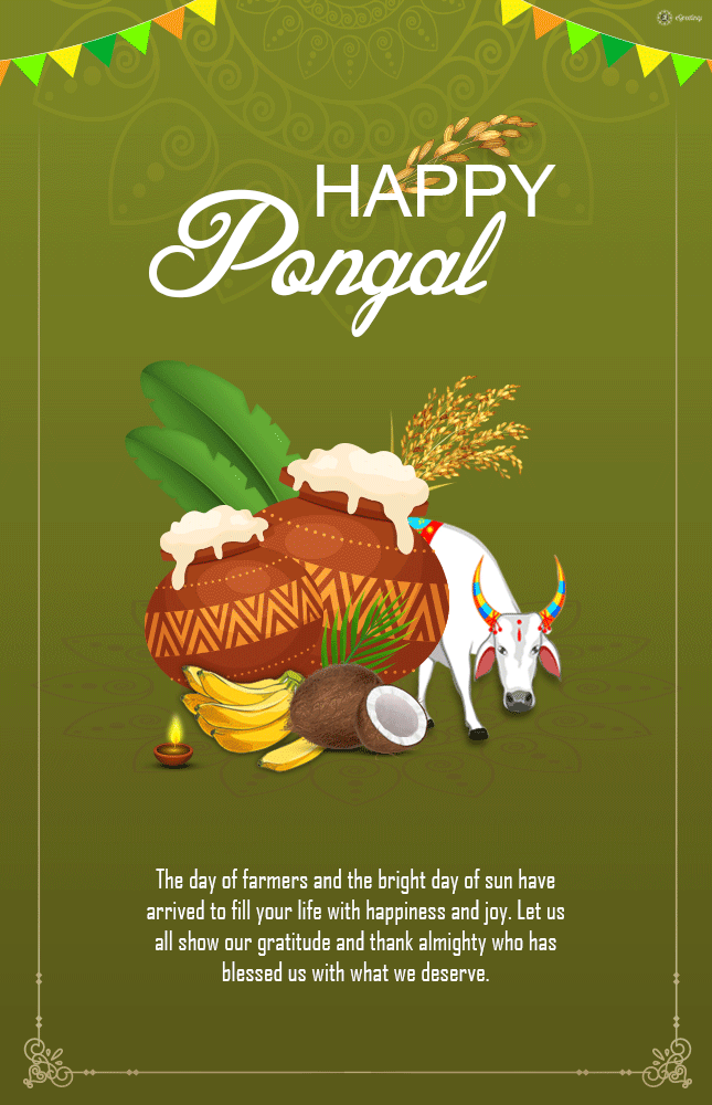 Happy Pongal 2021: Wishes, Messages, Quotes, Greetings, Gifs, Images for  Facebook & WhatsApp Status – Version Weekly