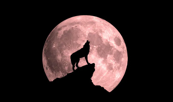 Wolf Moon Eclipse on January 10