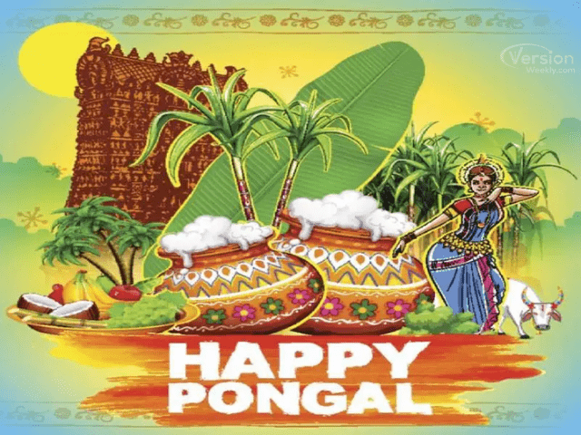 happy Pongal messages in English images