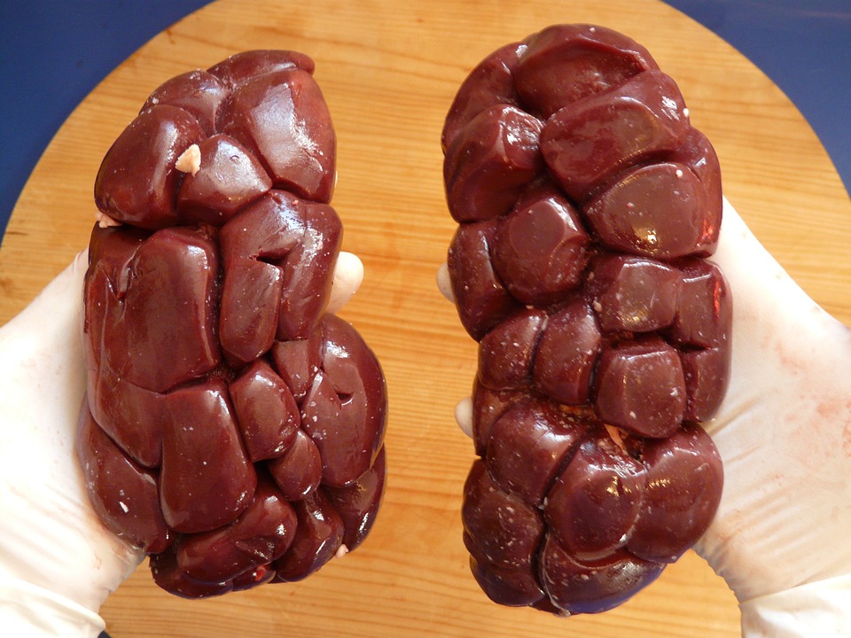 Can Your Diet Affecqnur Kidneys