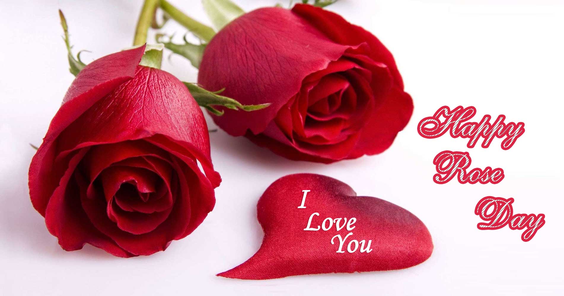 Happy Rose Day Messages for Lover