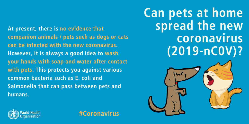 Can coronavirus spread through pets?
