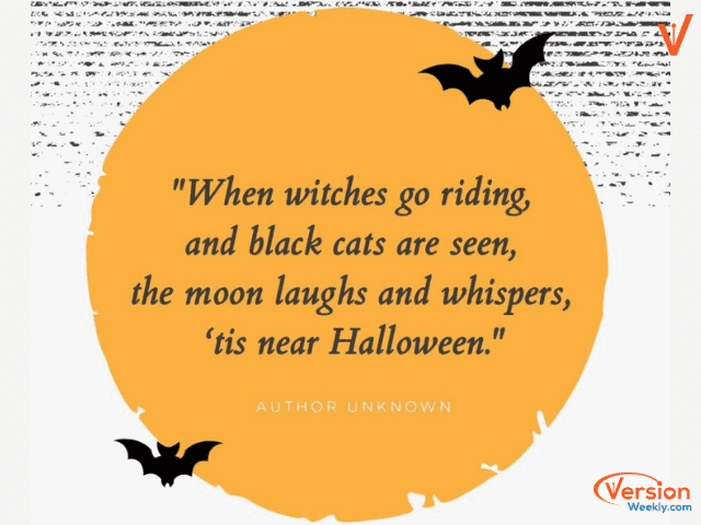 Halloween Quotes for Instagram