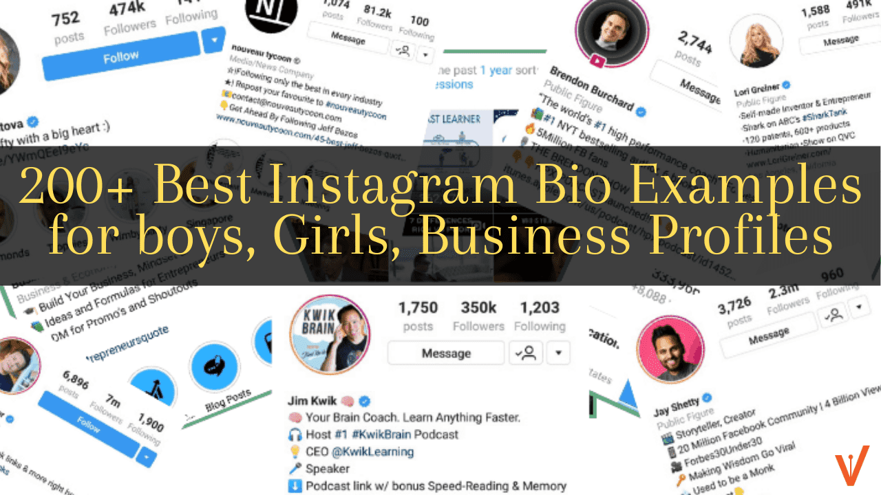 200+ Instagram Bio Examples