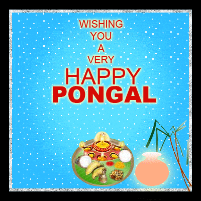 happy pongal gif 2021 download