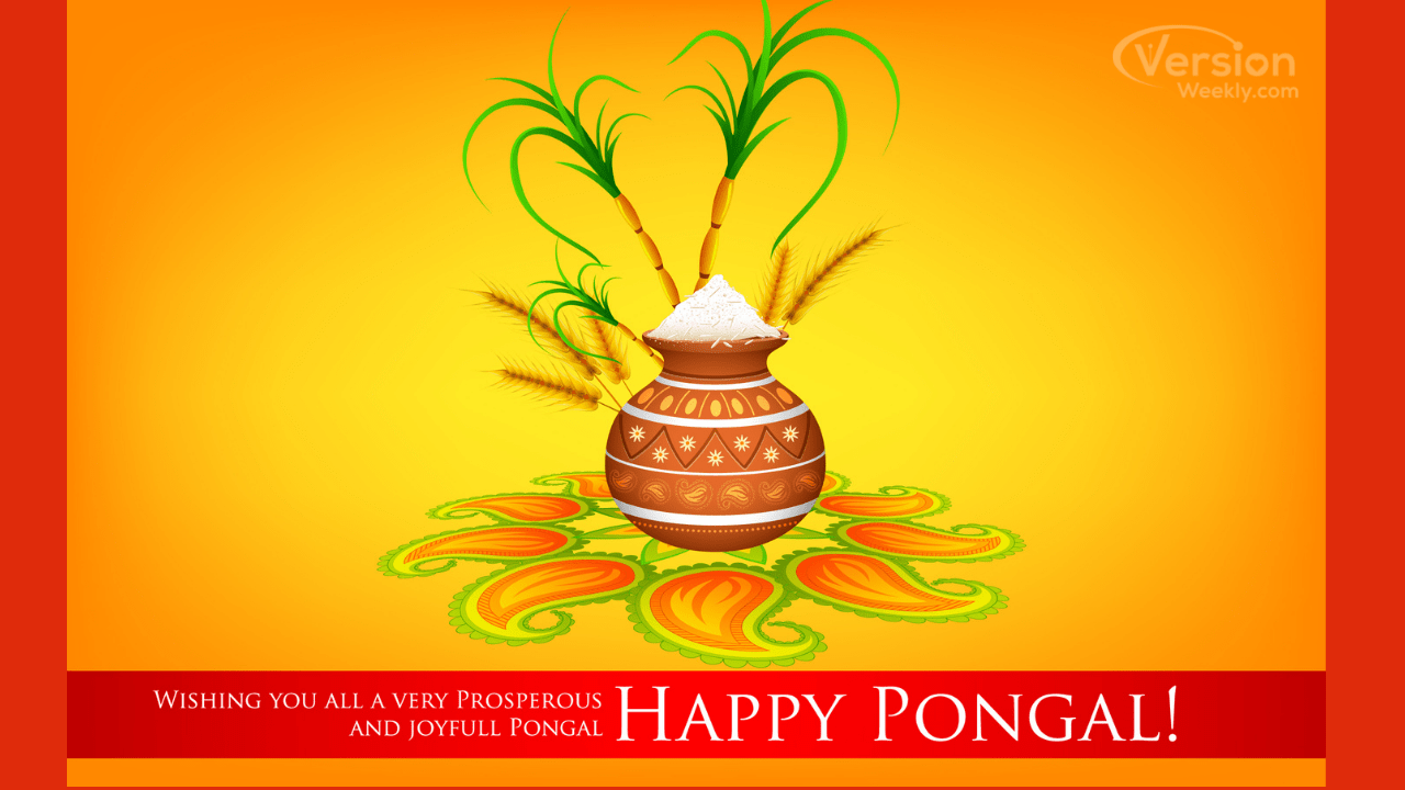 Happy Pongal 2022 Wishes, Video HD for WhatsApp Status, Facebook, Share Chat,  TikTok, Instagram, Twitter – Version Weekly