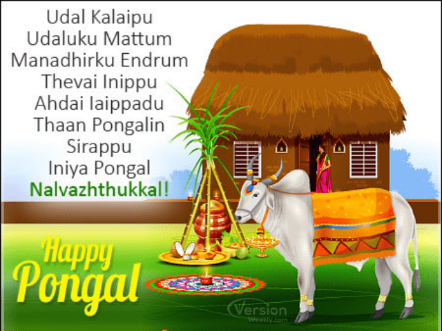 Happy Pongal in tamil Images