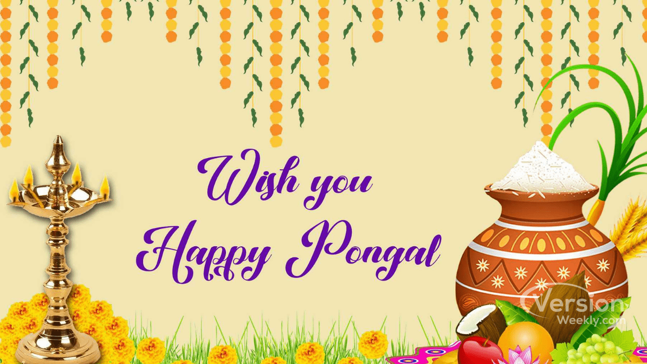 wish you happy pongal banners png
