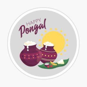 Latest Pongal Whatsapp Profile Picture