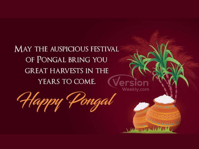 Pongal Wishes Quotes in English