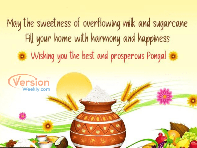 Pongal Wishes in English