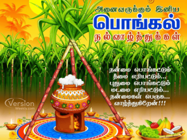 happy thai pongal 2022 wishes images