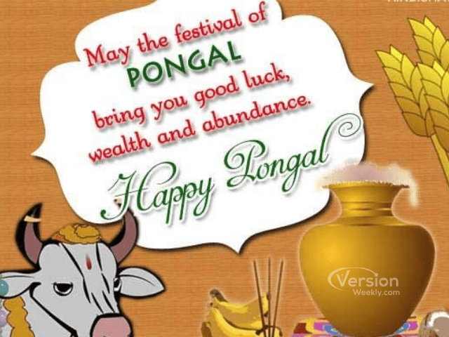 pongal wishes images in english