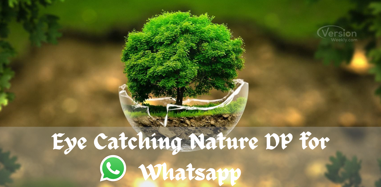 Inspiring Eye Catching Nature DP for Whatsapp | Whatsapp DP New ...