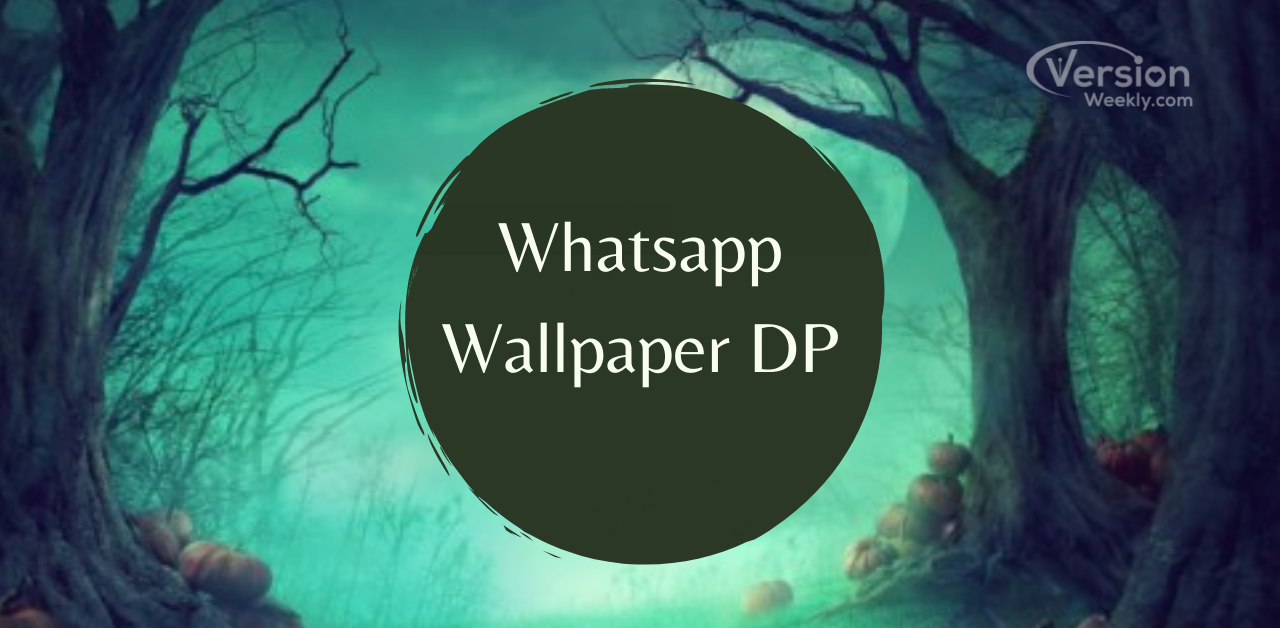 Whatsapp Wallpaper DP