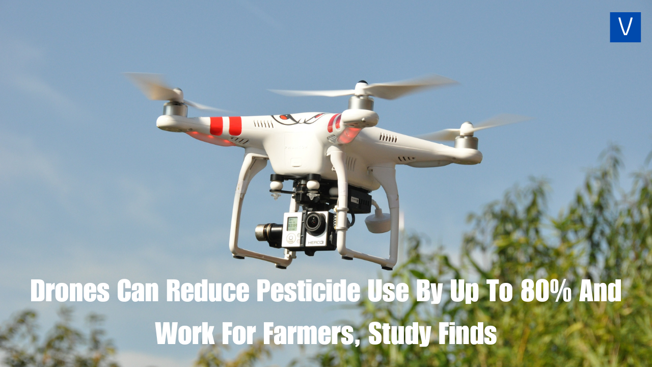 Drones Can Reduce Pesticide Use By Up To 80% And Work For Farmers, Study Finds
