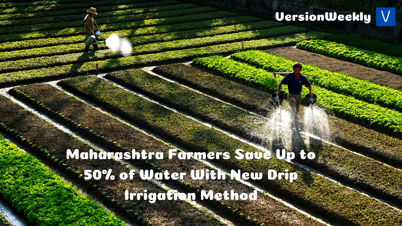 Maharashtra Farmers Save Up to 50% of Water With New Drip Irrigation Method