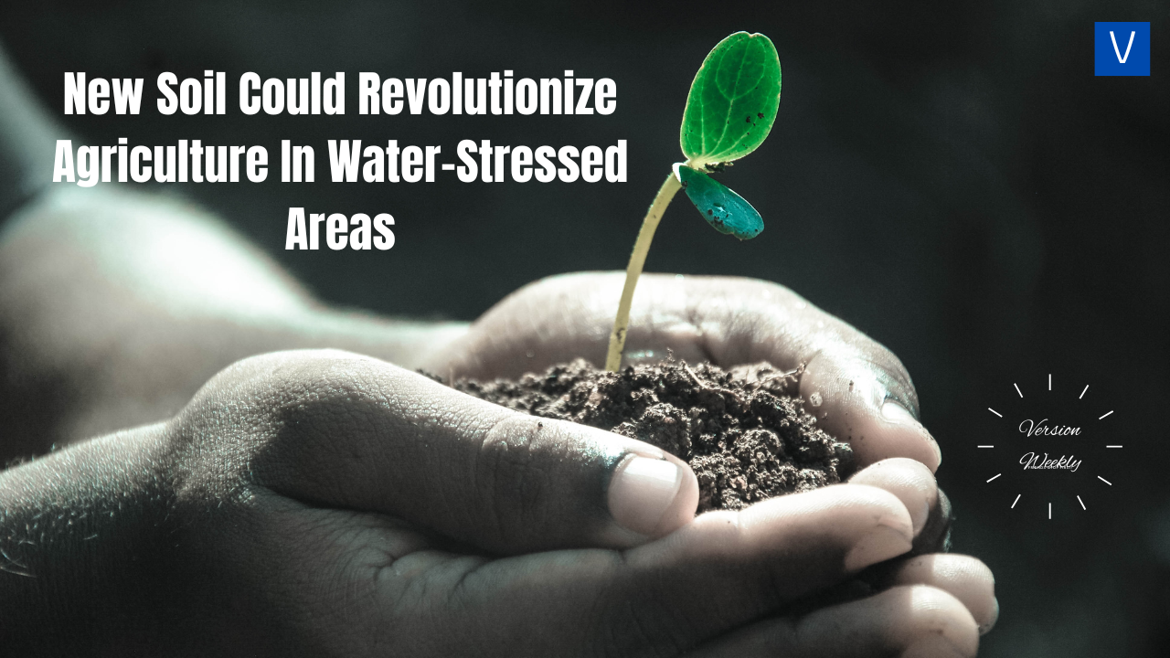 New Soil Could Revolutionize Agriculture In Water-Stressed Areas
