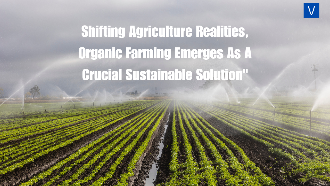 Shifting Agriculture Realities, Organic Farming Emerges As A Crucial Sustainable Solution