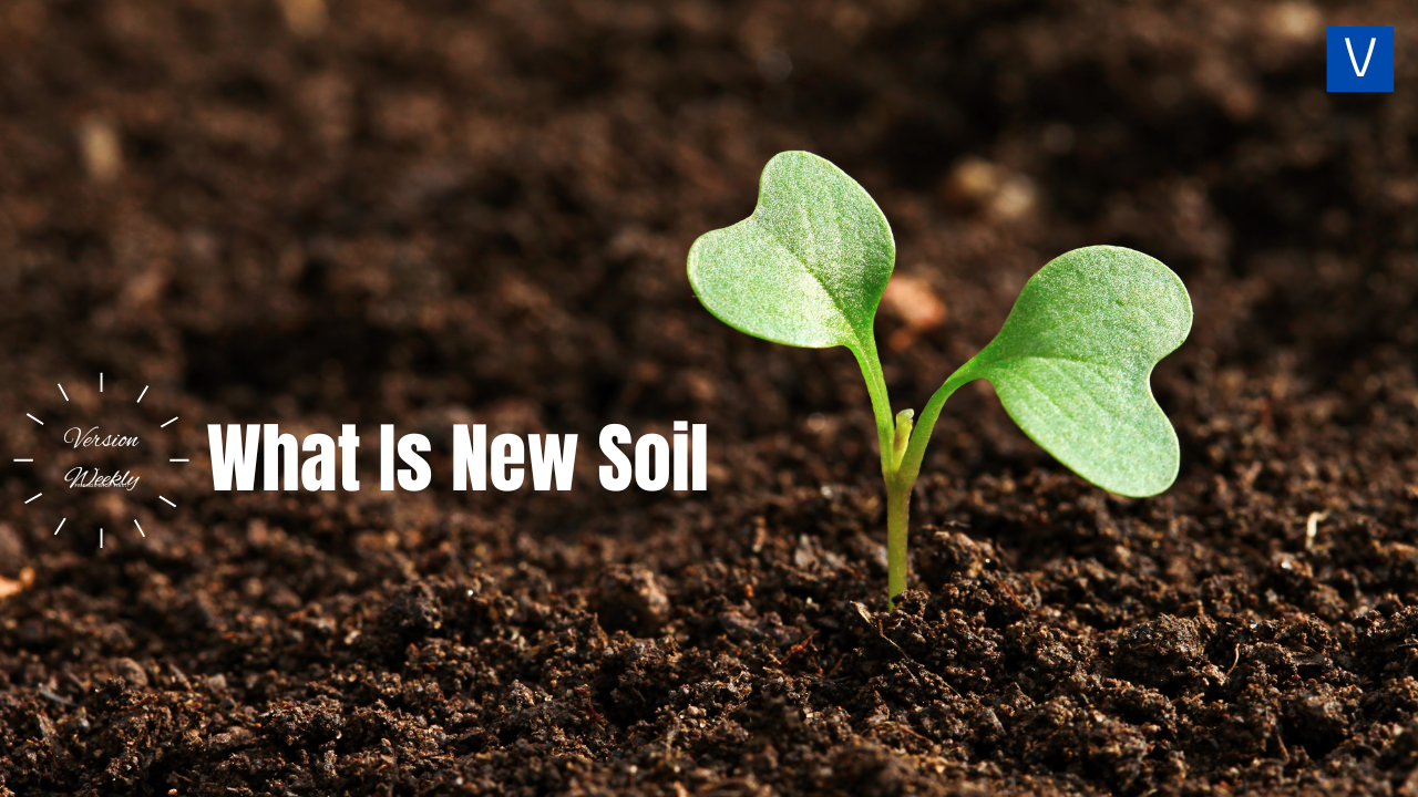 What Is New Soil