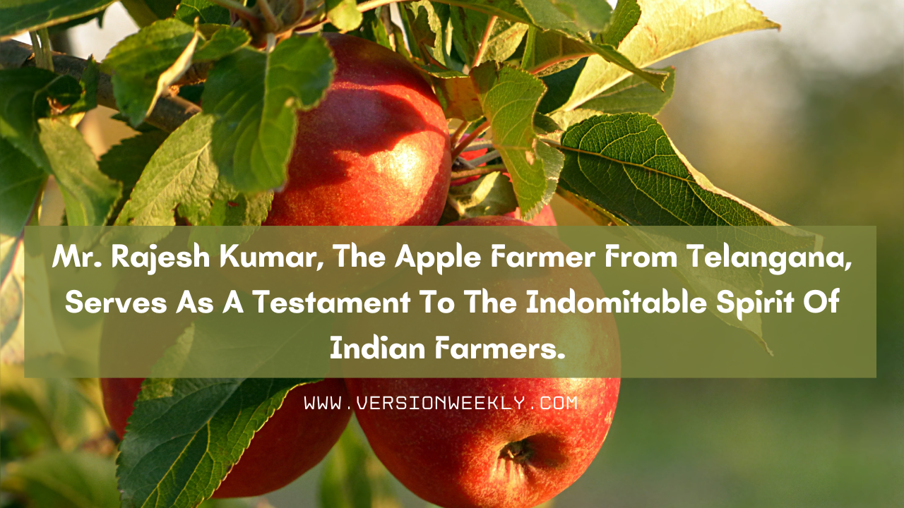 Apple Farming In Telangana A Tale Of Determination And Innovation
