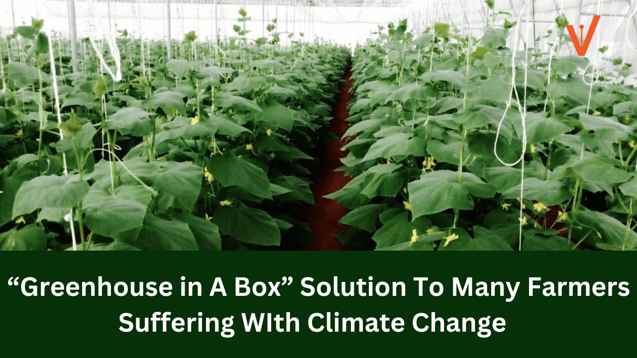 “Greenhouse in A Box” Solution To Many Farmers Suffering WIth Climate Change